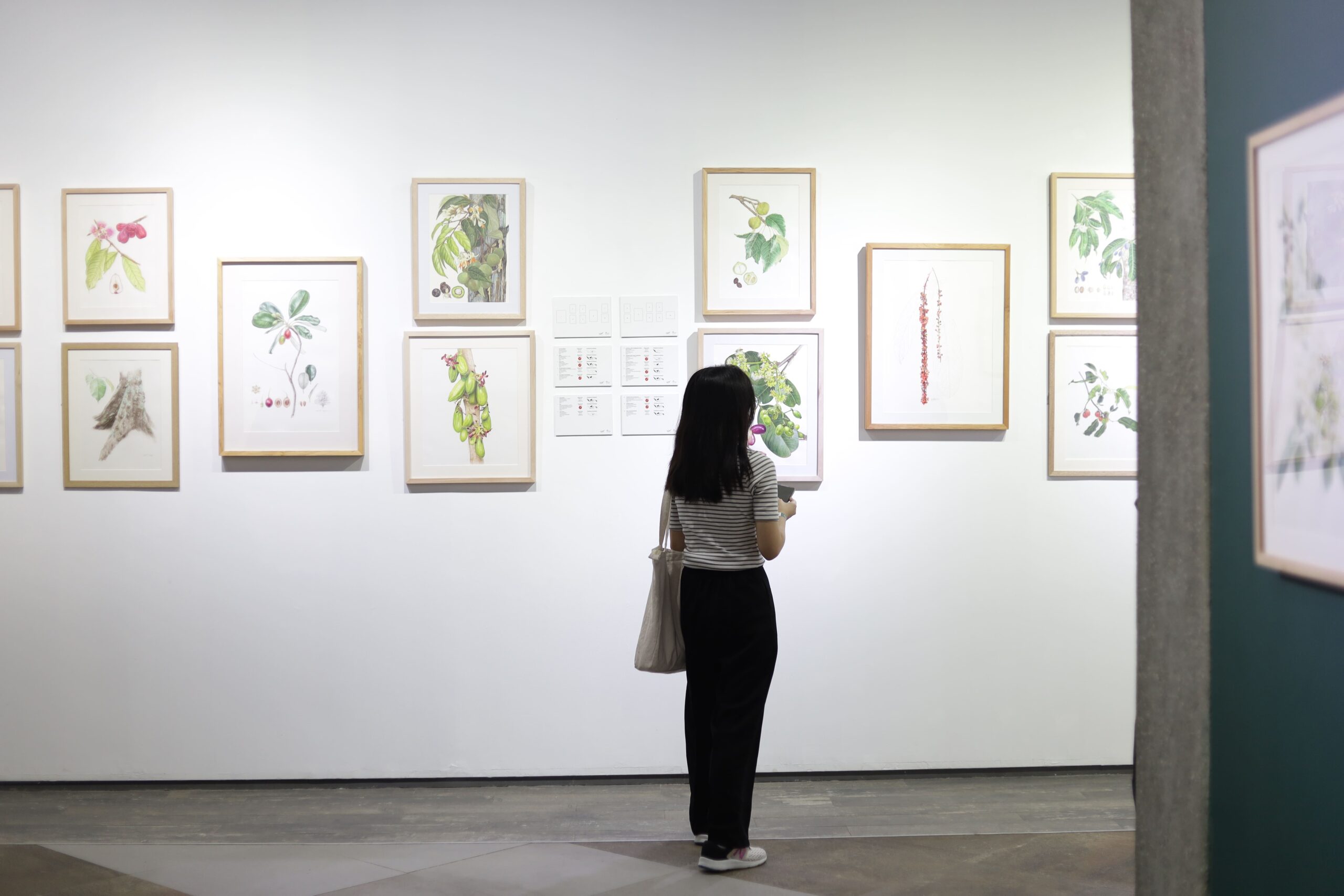 Pengunjung Sedang Menikmati Karya Lukisan Di Ragam Flora Indonesia 4